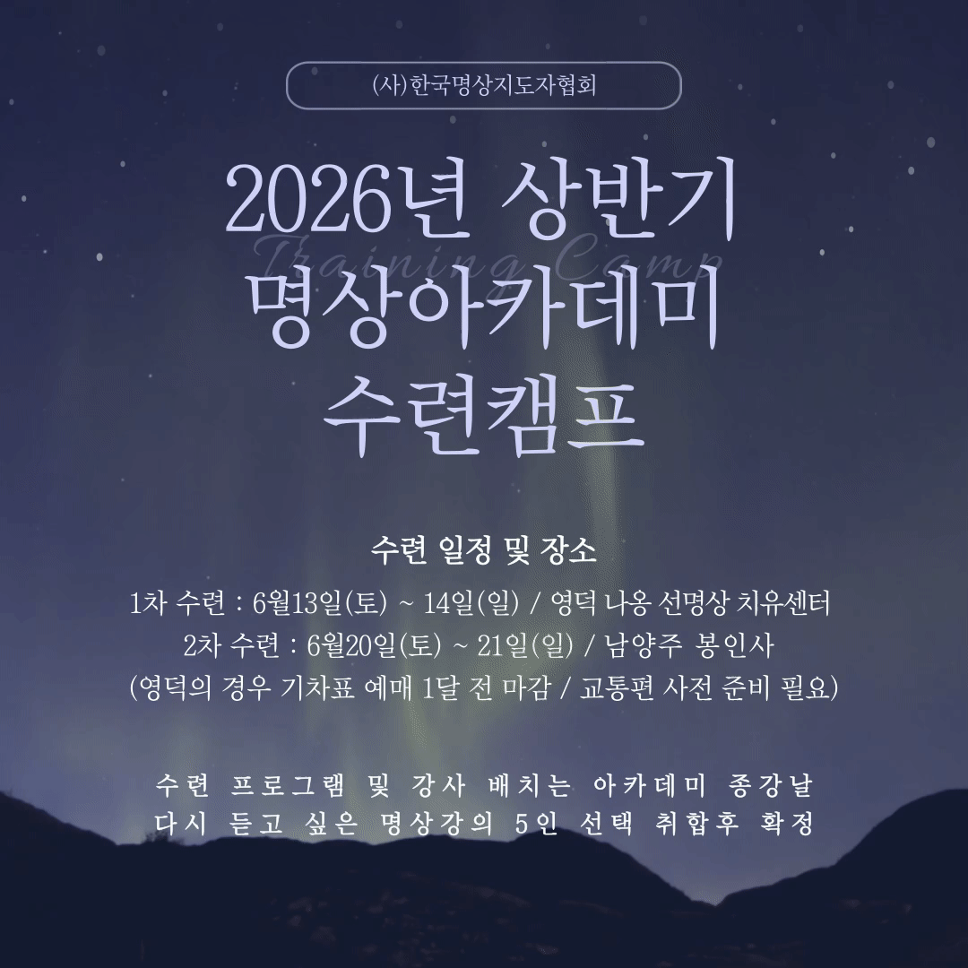 팝업
